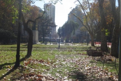 IMG_7195-mitre-plaza-view-leaves-autum