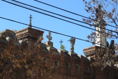 IMG_7265-recoleta-cemetery-tops