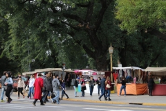 K68A8039-recoleta-flea-market-libertador-avenue