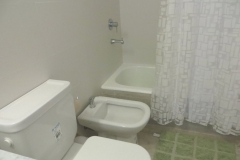 Closeup of toilet, bidet and bathtub